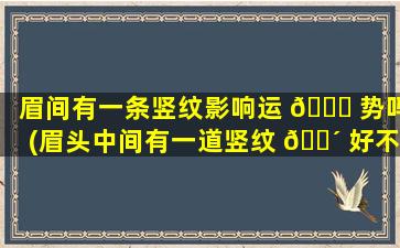 眉间有一条竖纹影响运 🐒 势吗(眉头中间有一道竖纹 🌴 好不好)
